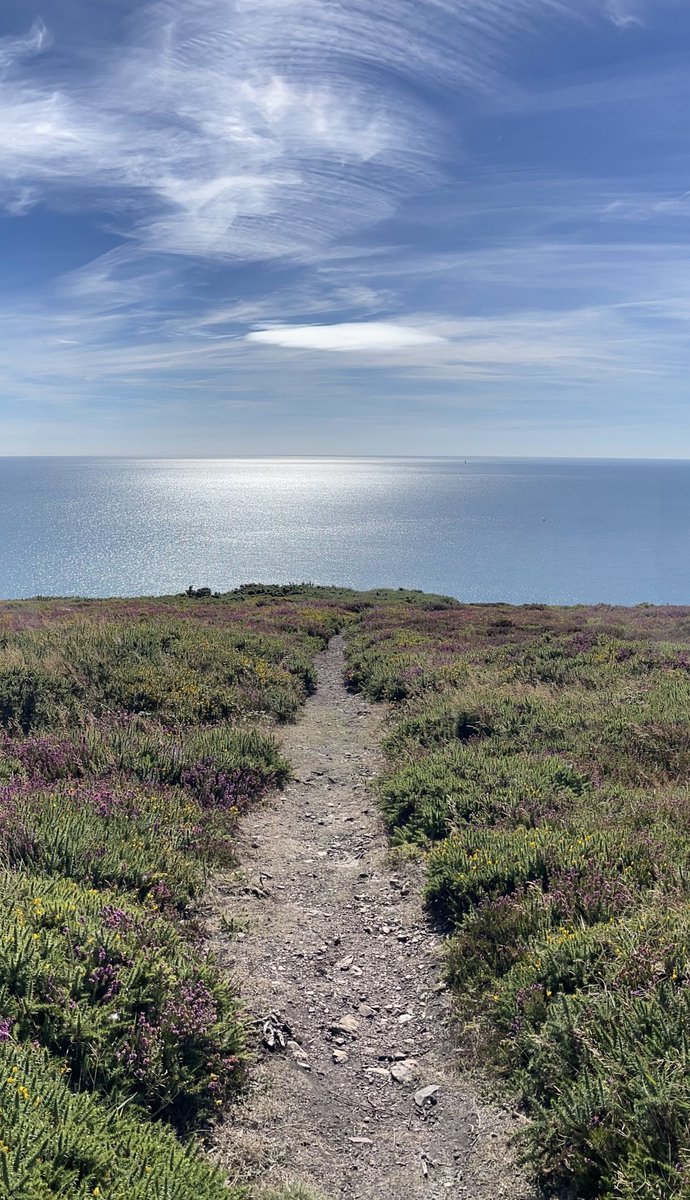 PSherlock's tweet photo. @StormHourMark #StormHour #ThePhotoHour 
#ThemeOfTheWeek ‘Footpaths’
#HowthCliffWalk #Howth https://t.co/BIPuPj5Z8j