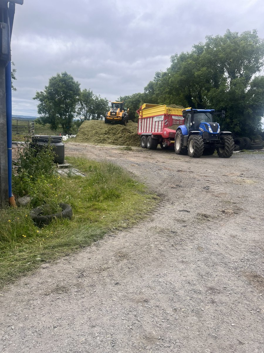 Edelburke4's tweet photo. How it started and how it ended…
Great lads to help cover pit today 🙏😎
#LackenFarmyard
#SilagePitCovered2024 https://t.co/sjiSjShpZh