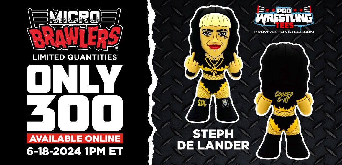 PWTees's tweet photo. Tomorrow. 1 PM ET. Only 300 Available Online. @stephdelander Micro Brawler #microbrawlers https://t.co/zW7lXA2xNQ