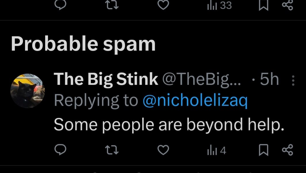 Cool...now comments are filtered as spam...or maybe it's been happening and I just didn't notice but lol...ok 🥴