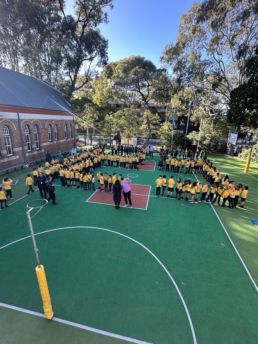 KENSINGTON PS tweet media