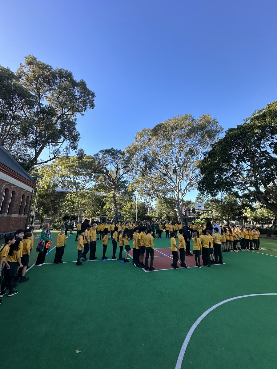 KENSINGTON PS tweet media