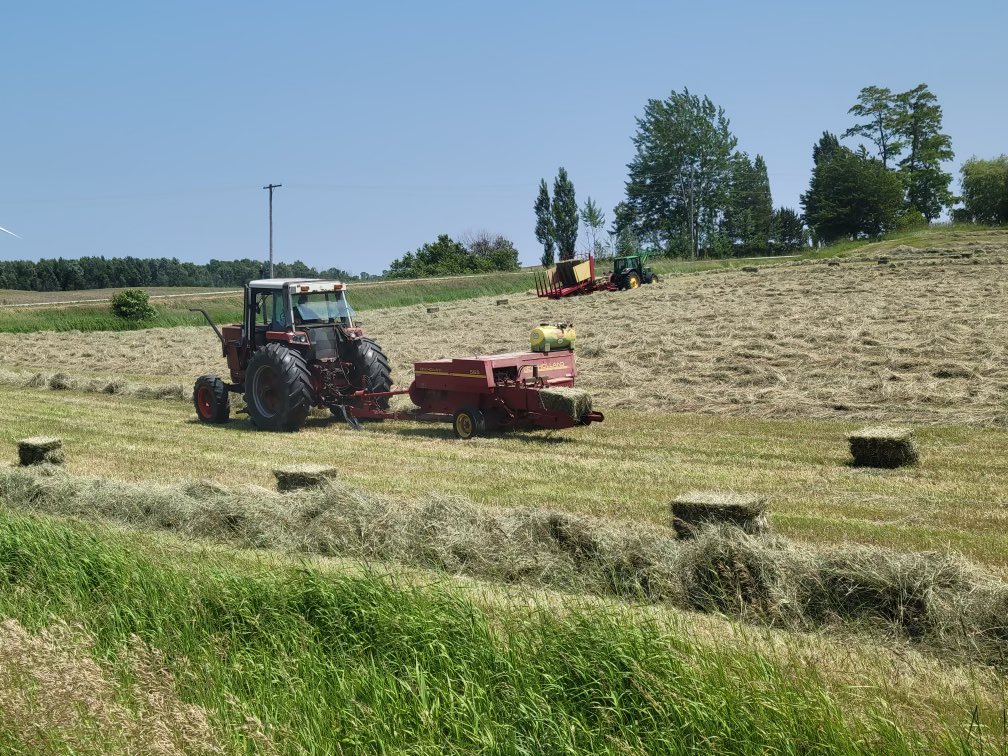 NuhnForage's tweet image. Make hay while the sun shines and use #TheJuice to beat the high humidity and pop up showers! #JuiceKeepItCool  

#hay2024 #canadianagriculture #madeincanada #makeserioushay #thejuice #juicekeepitcool