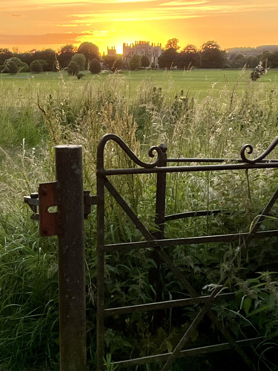 Liam Cleaver tweet media