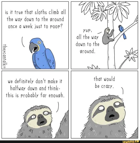 I mean... sloths would NEVER do that!!!
lol 
🤣😅😂🦥