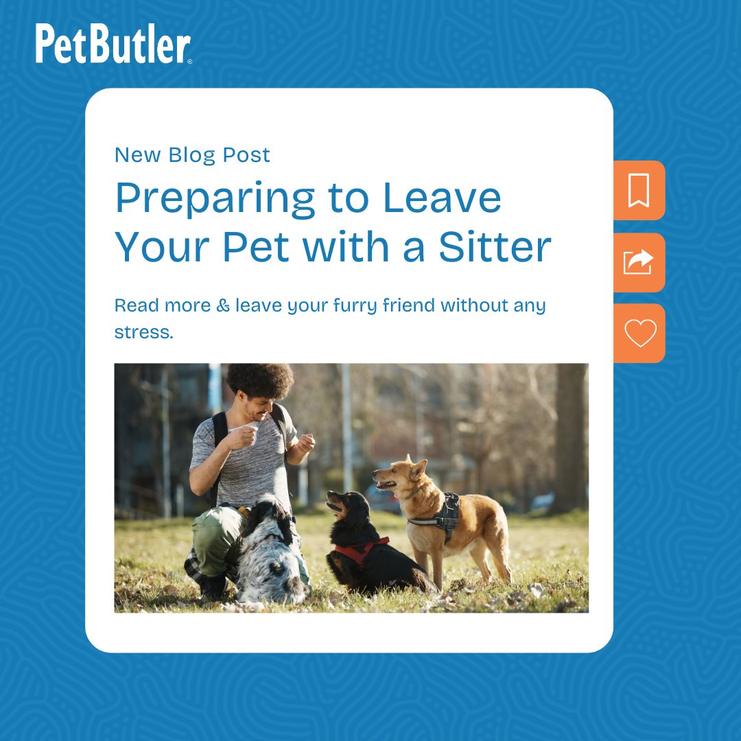 PetButler's tweet image. Our latest blog 'Preparing to Leave Your Pet with a Sitter' has all the tips you need to ensure your pet stays happy and safe in your absence. Read more and leave your furry friend in capable hands without any stress.  bit.ly/3RwqrhB 📖🐶 #PetCare #PetButler