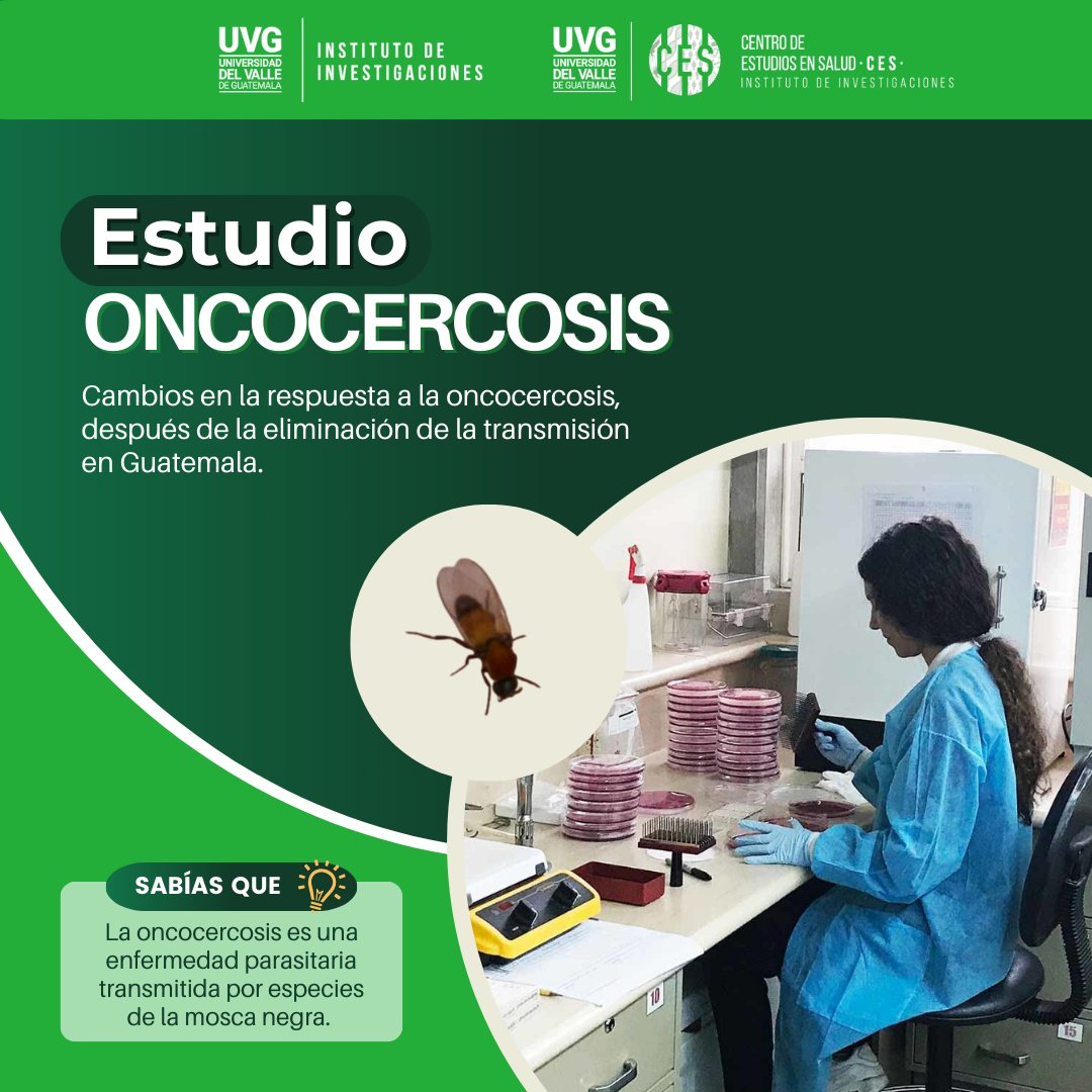 UVG Instituto de Investigaciones tweet media