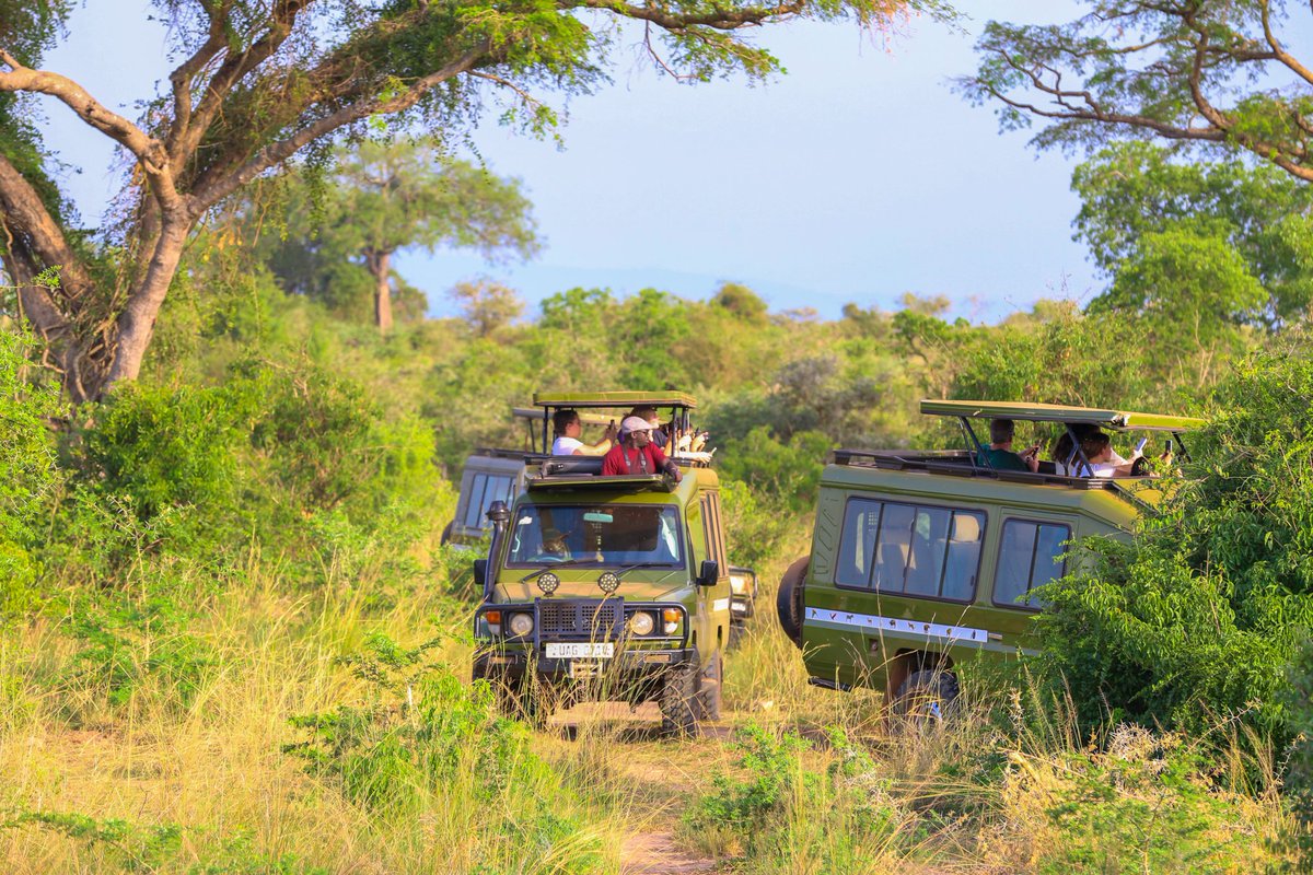 Baylor Missions, Service & Public Life tweet media