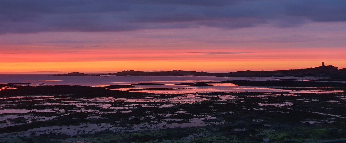 West Coast Guernsey on fire tonight!