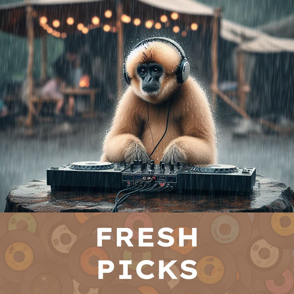 Phil Evans tweet media