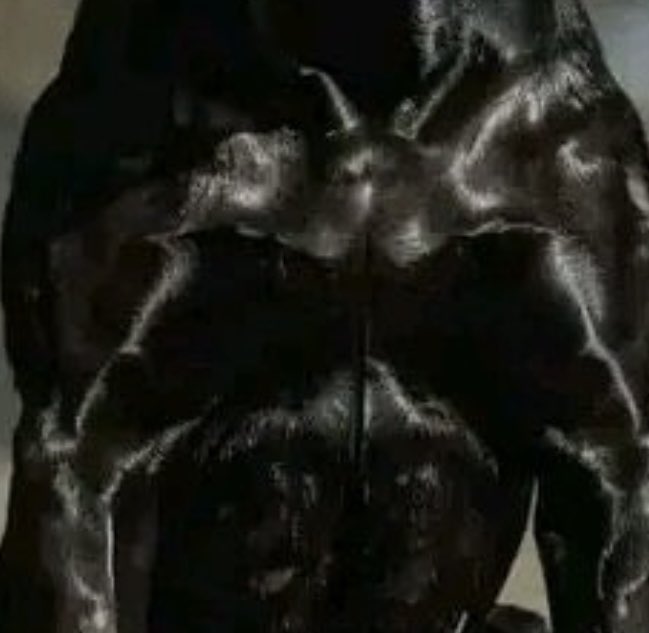felixblade's tweet photo. @TheFigen_ Diablo 💪 https://t.co/malCxeQXsX