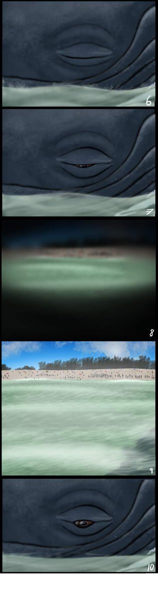 Cindy_Joli's tweet photo. ~Stranded~ (Part 2/10)
I kept my eyes shut for most above water as the dry air and sun hurts.
#whale #humpbackwhale #dream #art #ocean #artist #digitalart #comic #story #artdream #ocean #strandedwhale #cetacean #baleenwhale https://t.co/IH9TuemiEg