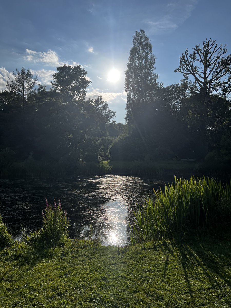 ikatiemusgrave's tweet image. Clearing the decks for a summer of building.

Starting with my head.

#buildinpublic #summerbuild