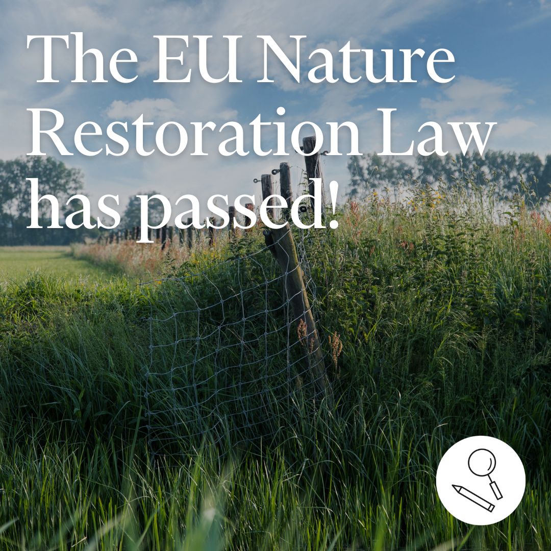 Had het echt niet verwacht misschien is er toch nog hoop 💚🌿💚!!!!