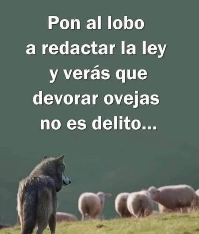 jorgemanson's tweet image. #SCJN #ReformaDelPoderJudicial