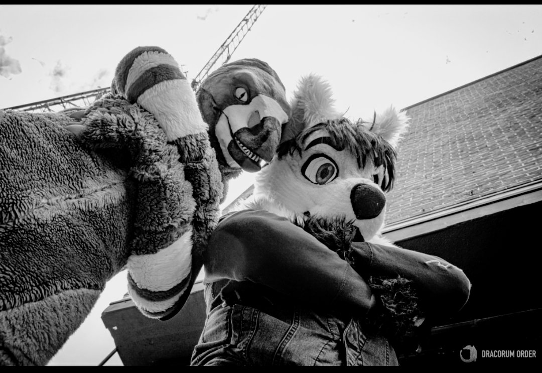 Where do you think your going 😎 

🦕@restrainedraptr
📸 <a href="/DracorumOrder/">Dracorum Order 🧧</a>