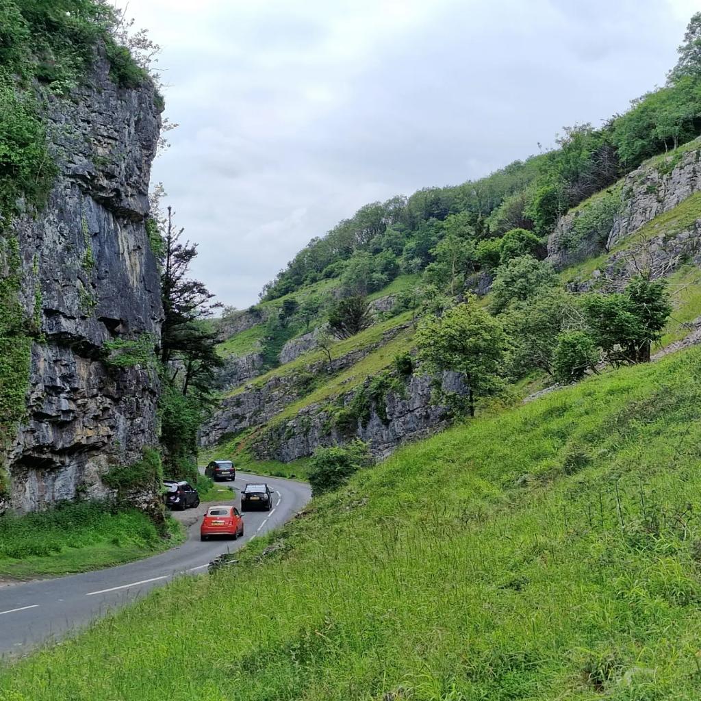 Devon&Moor southwest guided tours tweet media