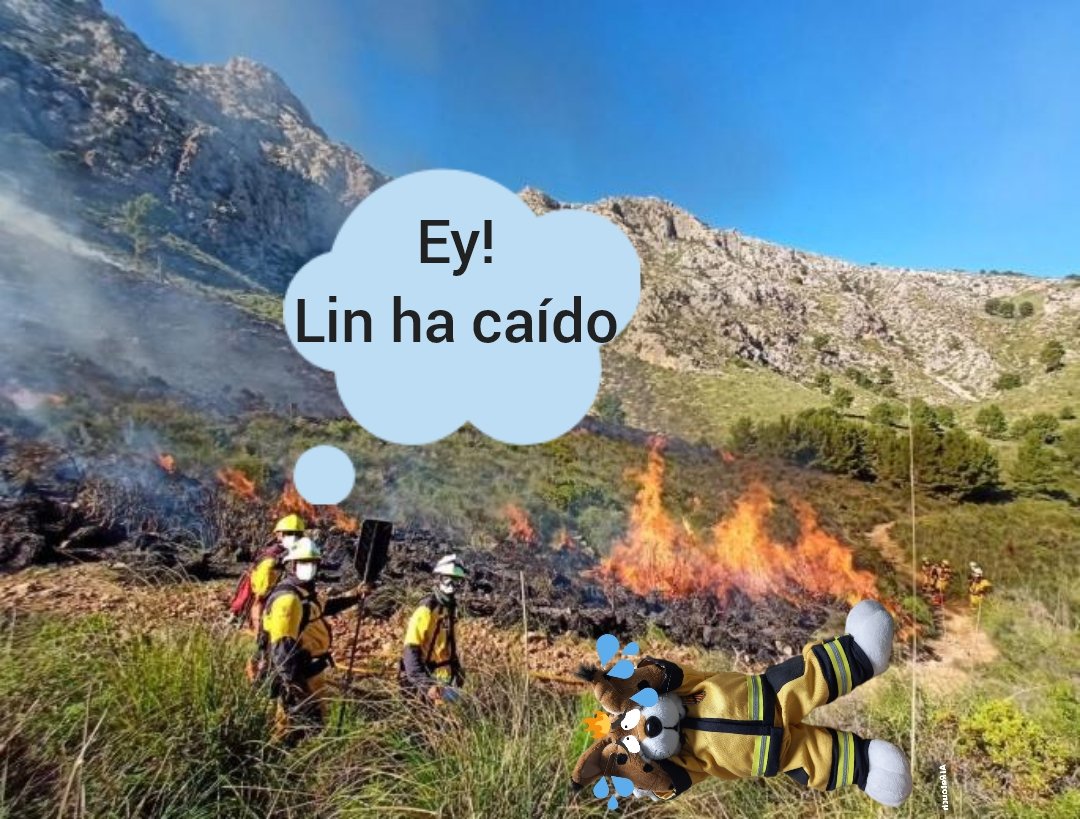 LincedelaPRL's tweet photo. Lin os recuerda que existen protocolos específicos en la empresa para trabajos al exterior en caso de  alertas por calor (avisos naranja o rojo AEMET). Así como legislación específica, Real Decreto-ley 4/2023, de 11 de mayo (BOE 12 de mayo de 2023) #prl #ibanat #Linprl https://t.co/occT5RjDgM