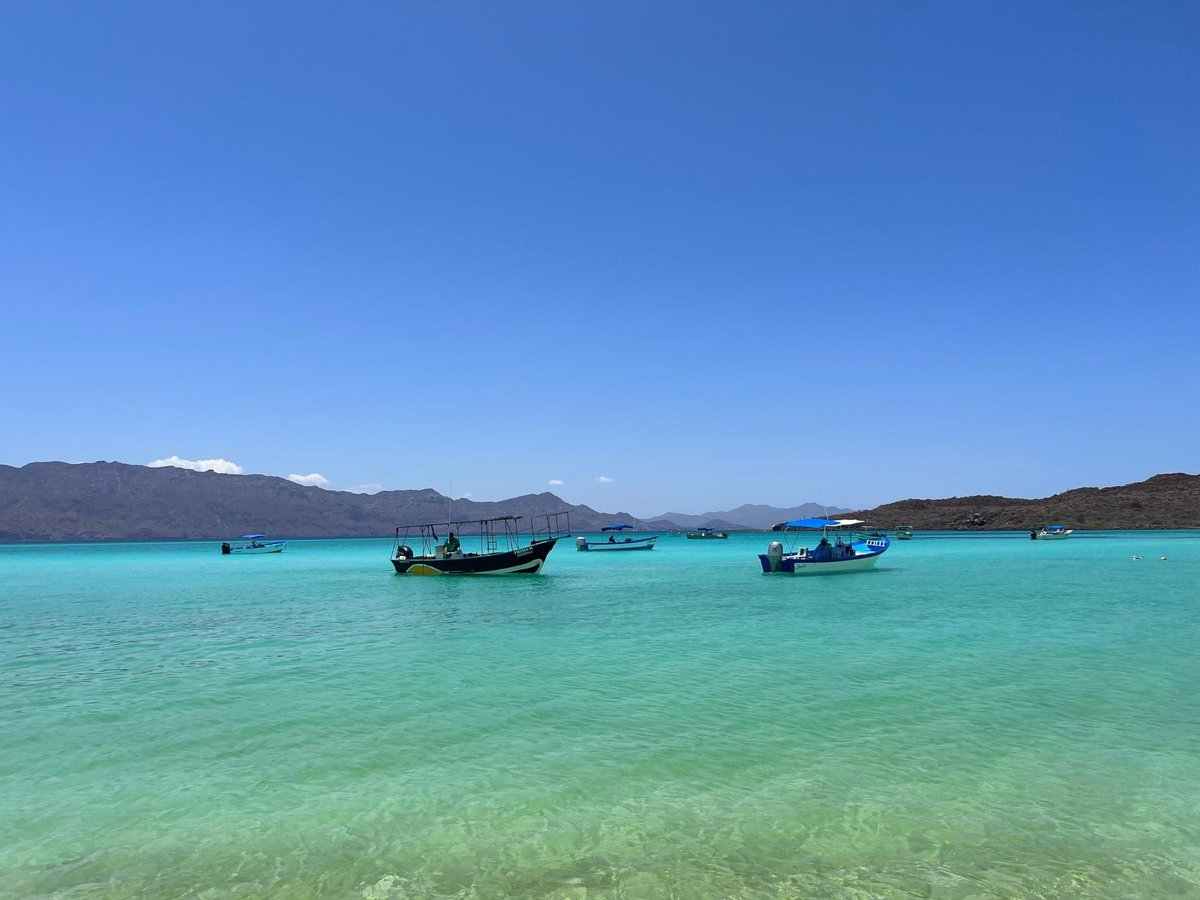 SECTURBCS's tweet photo. 🏝️ #Aventurate | La 𝗜𝘀𝗹𝗮 𝗖𝗼𝗿𝗼𝗻𝗮𝗱𝗼𝘀, ubicada en el municipio de #Loreto, es perfecta para viajeros en busca de bellas experiencias al aire libre y perfecto para amantes de la naturaleza. https://t.co/qYXTe8sh1B