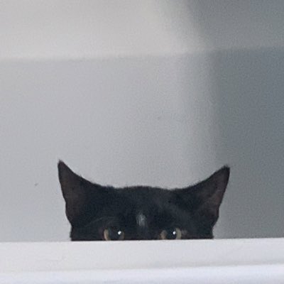 headlessned tweet media