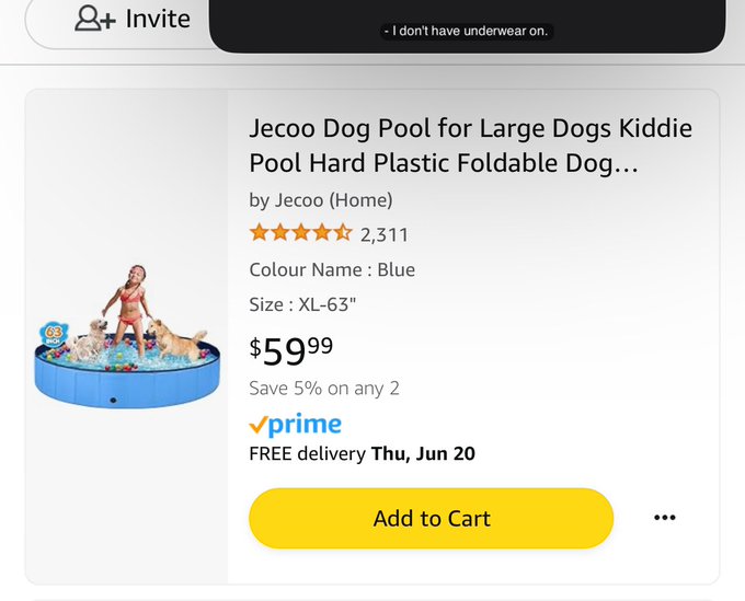 Anybody want to treat my Milo boy to a pool of his own so he can be outside with me ? 🥹 https://t.co