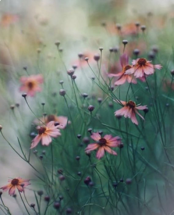 Blessed new week!
Enjoy 🩷🩷🩷