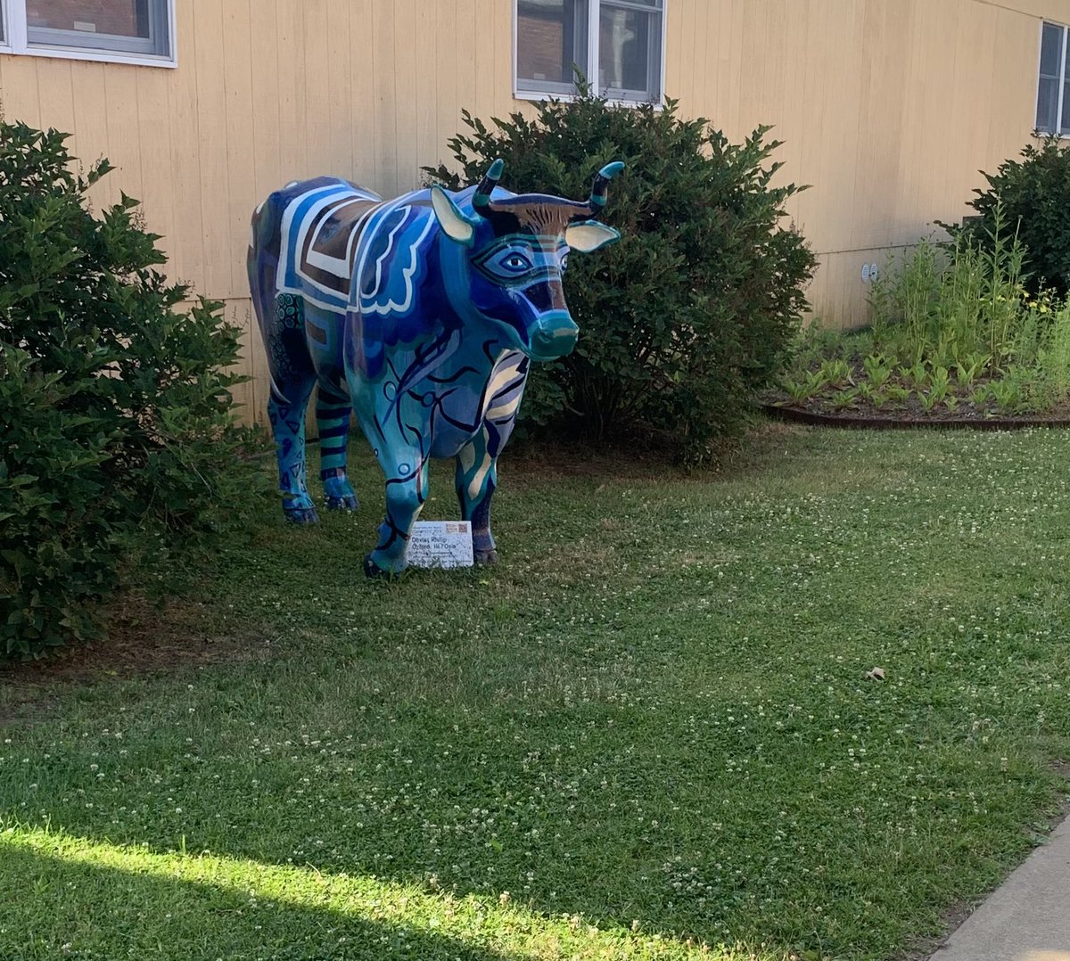 Andi Ackerman tweet media