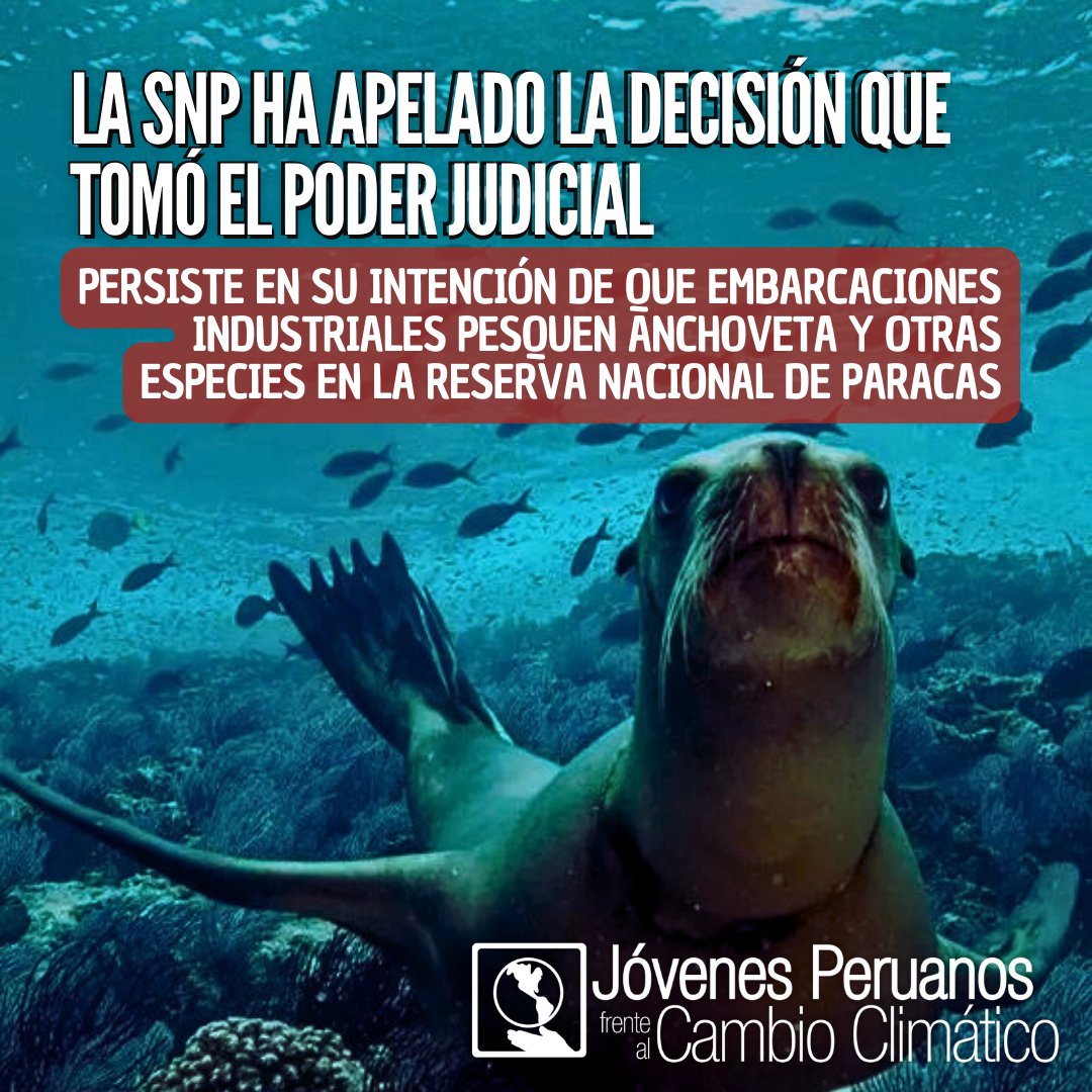 Jóvenes Peruanos frente al Cambio Climático tweet media