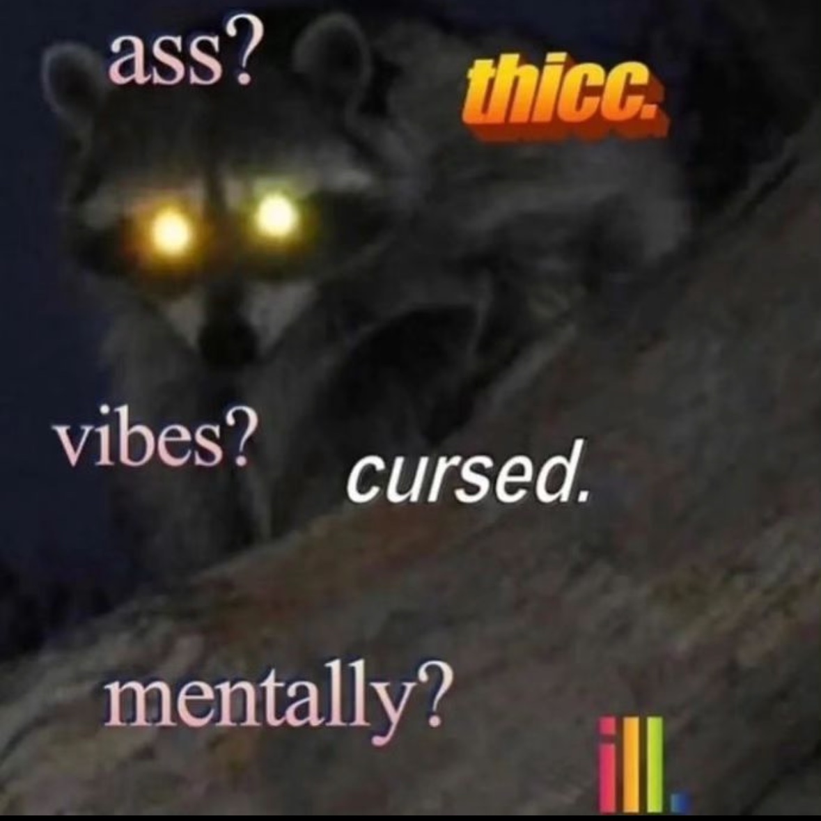 raccoon aesthetic. (@raccoonesthetic) on Twitter photo 