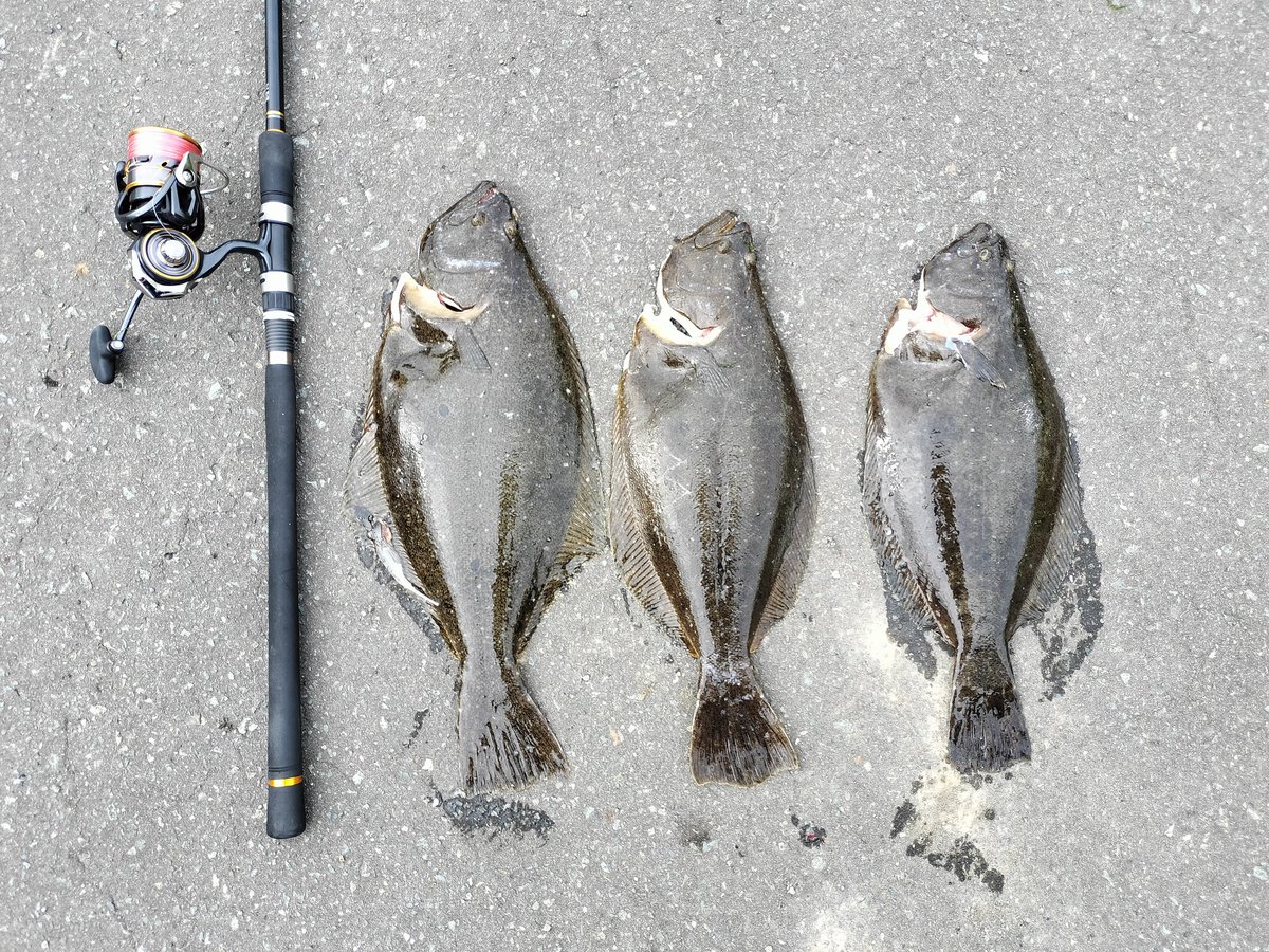 ともすずか tweet media