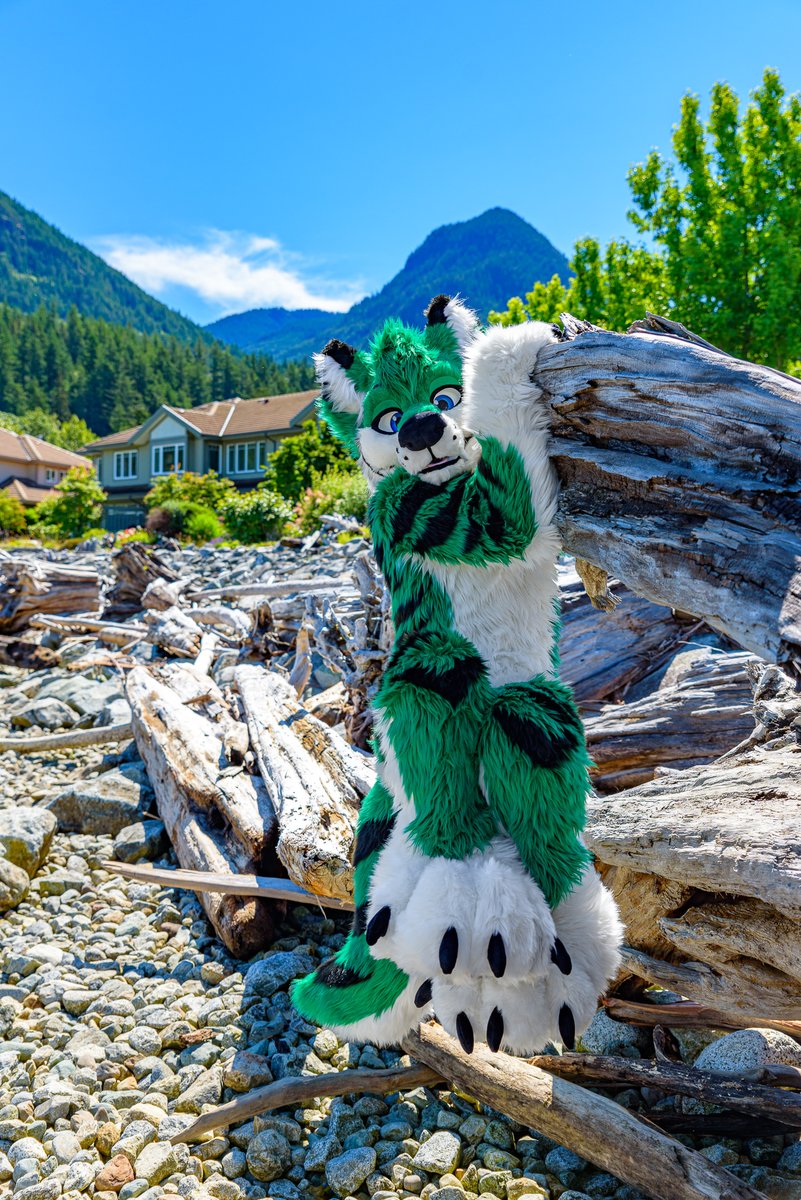 Hang in there floofs ~ Anthrocon is almost here ~