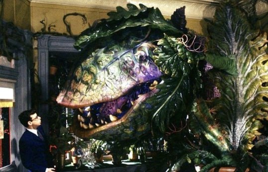 Wandership α tweet media