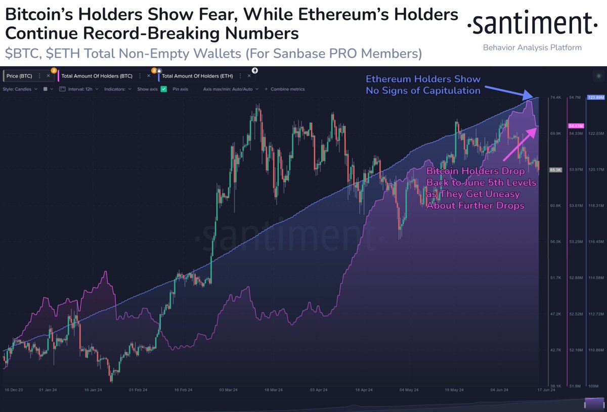 Trend in Bitcoin and Ethereum holders.