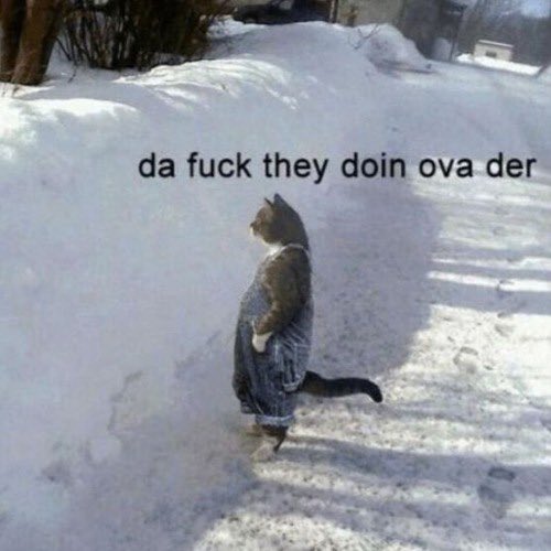 the smackdown roster right now