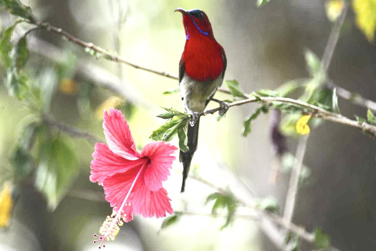 Nikhil Singla tweet media