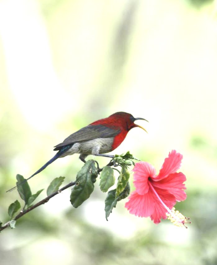 Nikhil Singla tweet media