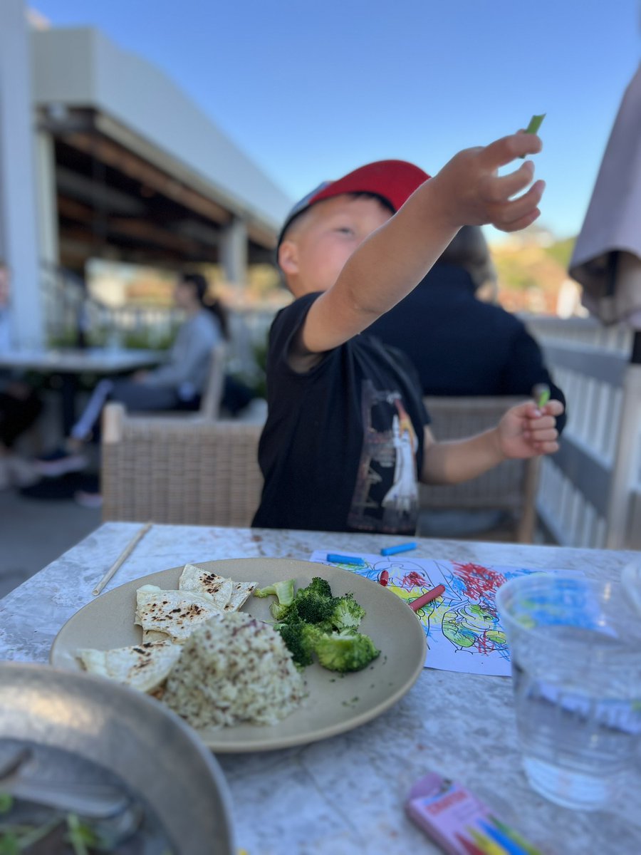 DavidHart8's tweet image. Charlie’s Starship has separated and is headed to low orbit. Thank you @elonmusk for inspiring a generation.