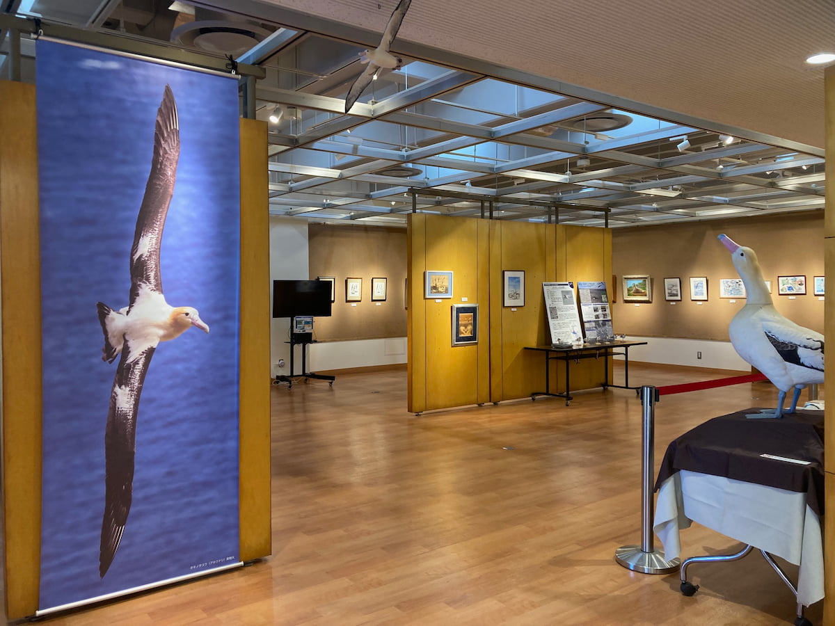 wbsj_tsubame's tweet image. 【お知らせ】

東京港野鳥公園では、「世界アルバトロスデー＆シーバードウィーク」に合わせて、アホウドリをはじめとする海鳥のアート作品や写真などの展示を行っています。ぜひご覧ください。

会期 6/15(土)～7/7(日)
会場 ネイチャーセンター1階 企画展示室

詳しくは
wbsj-wildbirdpark.blog.jp/archives/10818…