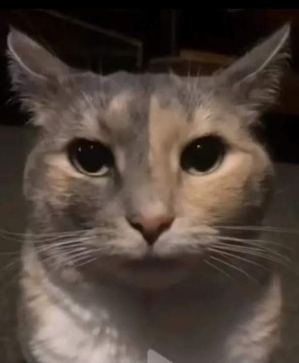 La gente que apoya la reforma judicial estan pendejos o no saben que hace la scjn?