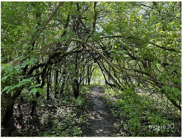 MychailaARose's tweet photo. New Redbubble Merch!
Forest Path.
#redbubbleartist #overhang #dirtpath #redbubbleshop #sunny #nature #forest #forestphotography #woods #naturephotography #photo #photography #apparel #design #artist #author #authorlife #tree #trees #sticker #stickershop #stickerart https://t.co/sKobkXuhyx