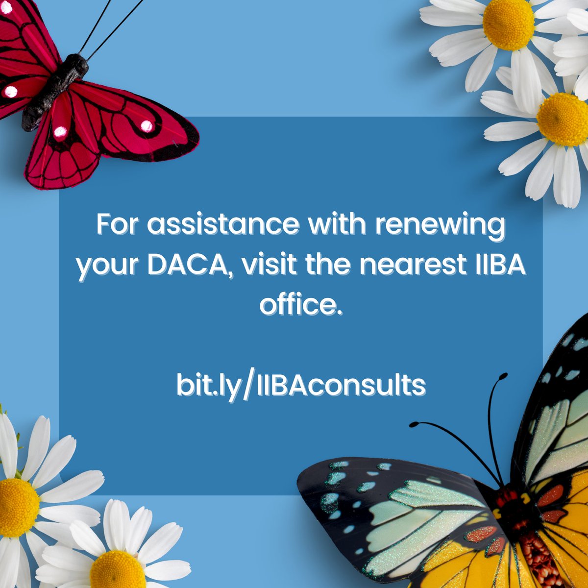 On June 15th, we celebrate 12 years of DACA. #DACA has provided numerous recipients with opportunities for higher education and better-paying jobs. For assistance with renewing your DACA or applying for advance parole, contact your nearest IIBA office at bit.ly/IIBAconsults