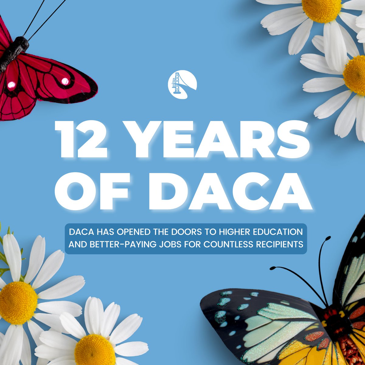 Immigration Institute of the Bay Area (IIBA) tweet media