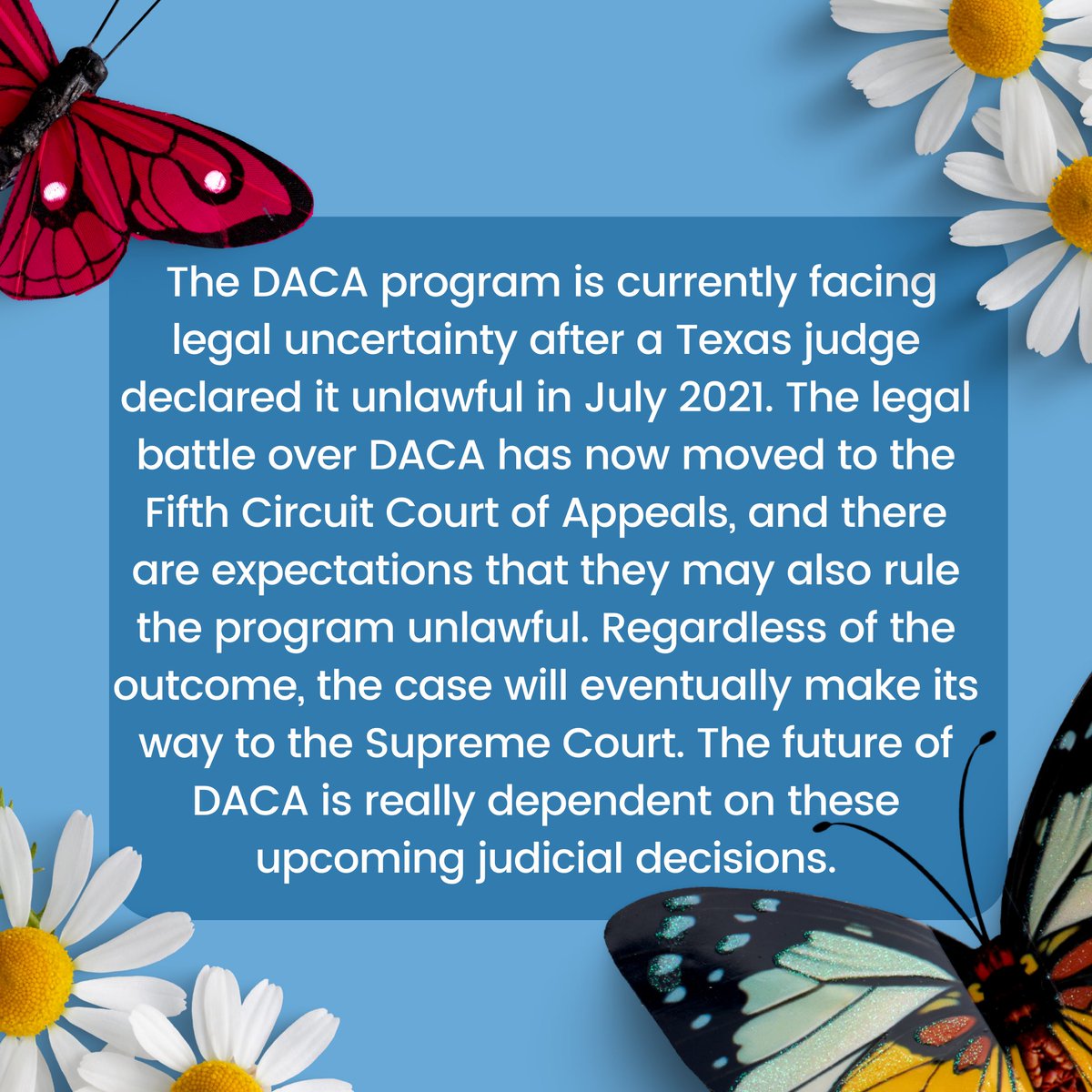 Immigration Institute of the Bay Area (IIBA) tweet media