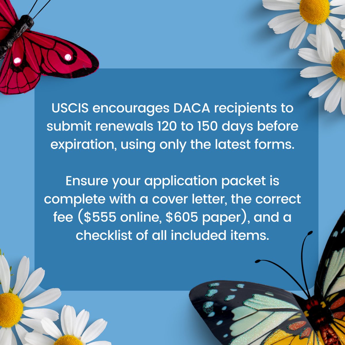 Immigration Institute of the Bay Area (IIBA) tweet media