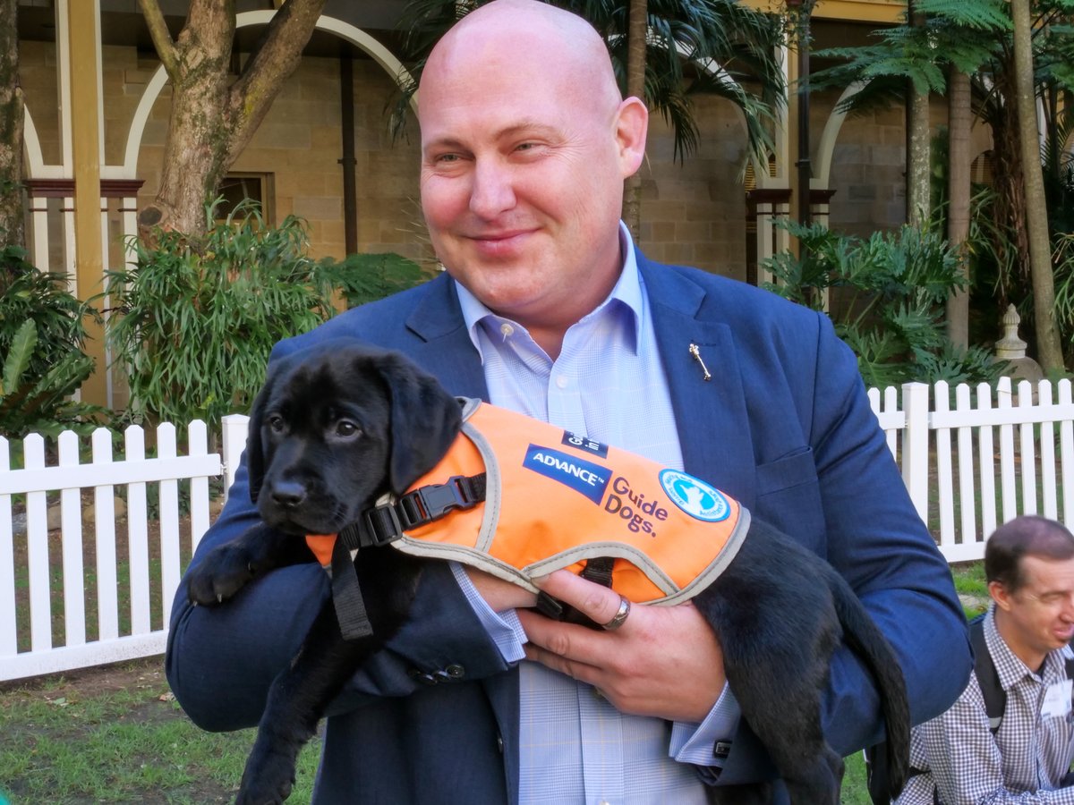 QueenslandParl1's tweet image. Playful puppies took over the Green last week! 🐶 🐾
Guide Dogs Australia visited during budget week, bringing the perfect dose of cuteness. 🦮❤️ 
#GuideDogsAustralia #PuppyLove #BudgetWeek #qldparliament
@GuideDogsAUS