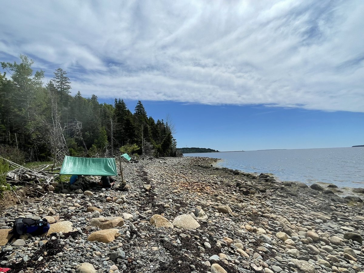 Bluenose Academy tweet media