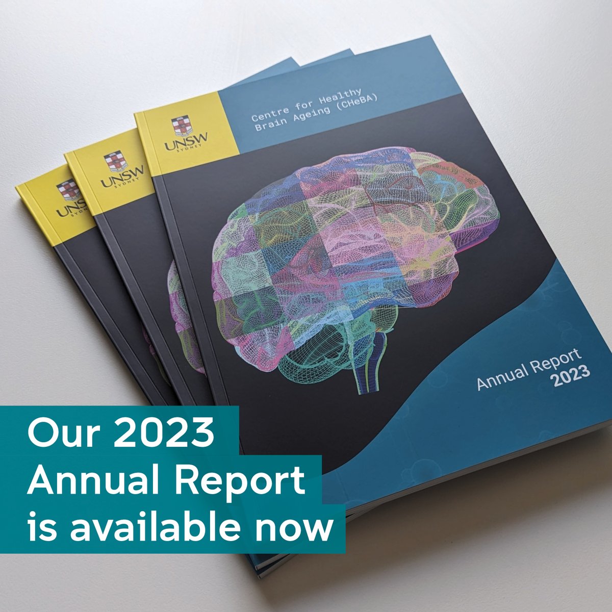 CHeBA_UNSW's tweet photo. Prof Henry Brodaty and Prof @sachdevps: “Research projects examining the #ageingbrain are mostly long and slow processes and we appreciate our highly skilled and dedicated team of researchers who continue to provide new insights into brain ageing.”
🔗https://t.co/uKaErTWpi8 https://t.co/dy7zJMZ9Zl