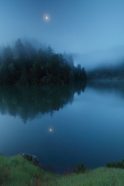 Goodnight ~
Till the morning light✨🌙