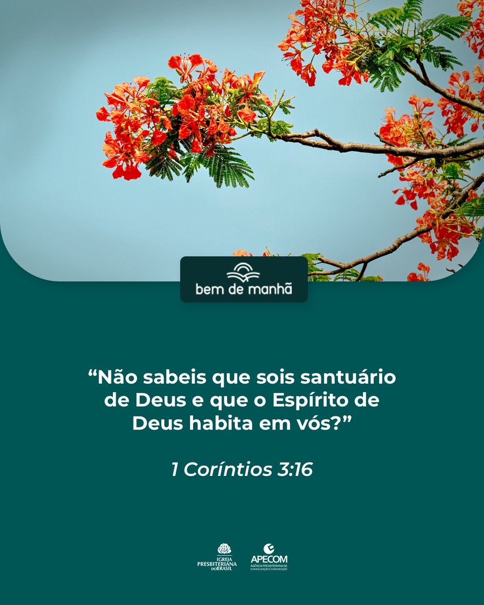 ipboficial's tweet image. Bem de Manhã: Comece o dia meditando na sabedoria de Deus.

“Não sabeis que sois santuário de Deus e que o Espírito de Deus habita em vós?”

1 Coríntios 3:16