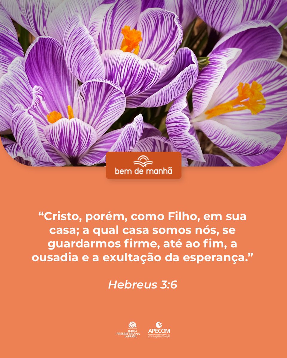 ipboficial's tweet image. Bem de Manhã: Comece o dia meditando na sabedoria de Deus.

“Cristo, porém, como Filho, em sua casa; a qual casa somos nós, se guardarmos firme, até ao fim, a ousadia e a exultação da esperança.”

Hebreus 3:6